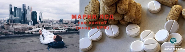 спиды Новозыбков