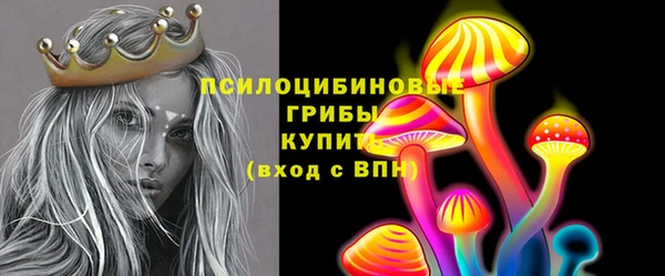 МДПВ Абдулино